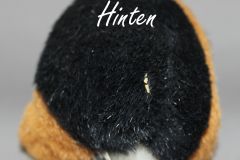 hinten