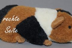 rechteseite