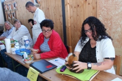 Konzentriert wird gerichtet ... viel zu tun für Richter und Schreiber