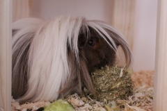 Es wird gefuttert ....