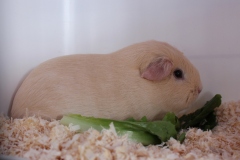 Hier wird ruhig abgewartet ...