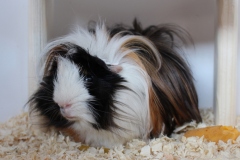 Was willste mit der Kamera?