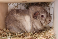 Kritisch beäugt wurde man auch