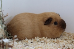 Man nutzt die Zeit mit Chillen