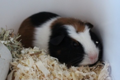 Während man hier einfach liegen bleibt