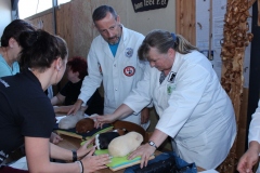 Wer ist das schönste ???