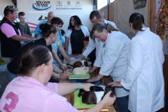 Immer wieder wird geschaut geprüft .....