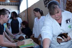 Immer wieder wird geschaut geprüft .....