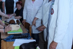 Immer wieder wird geschaut geprüft .....