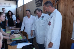 Die Entscheidungen fallen nicht leicht