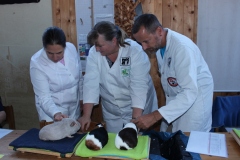 Langsam verringert sich der Kreis