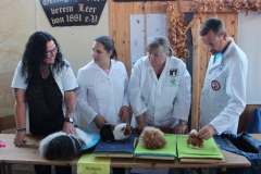 Wer wird das Beste Strukturhaar (Sonderpreis) mit allen vier Richtern