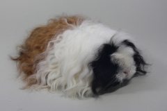 Merino "Beauty" in Schildpatt-Weiß von Bianca Erades