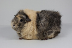 OMNC-09-2022-NR183