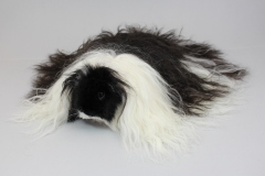 Texel schwarz-weiß