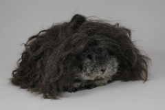 Minipli solid silberagouti