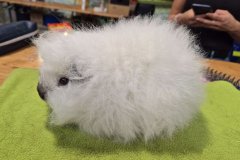 IMG-20250925-WA0029