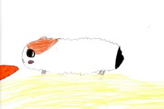 Image_20260919_009