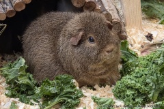 20251109_104732