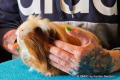 IMG-20260328-WA0054-001