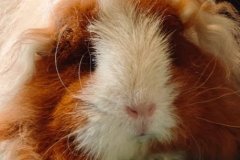 IMG-20260328-WA0054-005