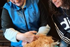 IMG-20260328-WA0054-006