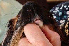 IMG-20260328-WA0054-007