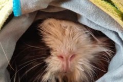 IMG-20260328-WA0054-008