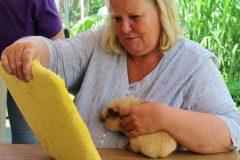 Nanu ... was gibt es denn Interessantes auf der Rückseite, Britta?